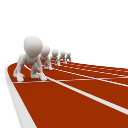 九游官方正版入口-中国篮球职业联赛俱乐部运营管理创新及案例分析，篮球俱乐部运营方案及管理