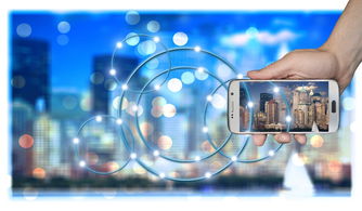 九游9游-高校运动训练科学化管理策略研究，高校运动训练科学化管理策略研究论文